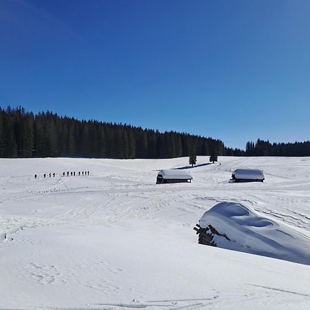 Villa Pokljuka 지고르니예 고르예 외부 사진