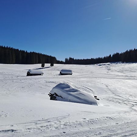 Villa Pokljuka 지고르니예 고르예 외부 사진