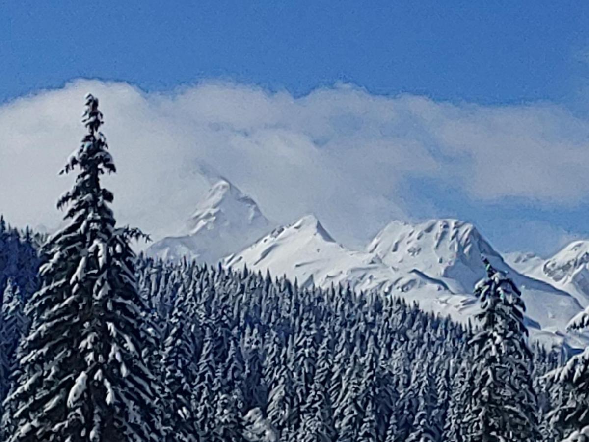 Villa Pokljuka 지고르니예 고르예 외부 사진