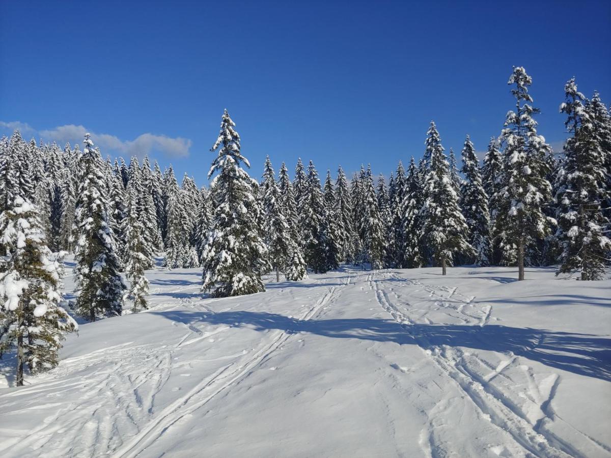 Villa Pokljuka 지고르니예 고르예 외부 사진