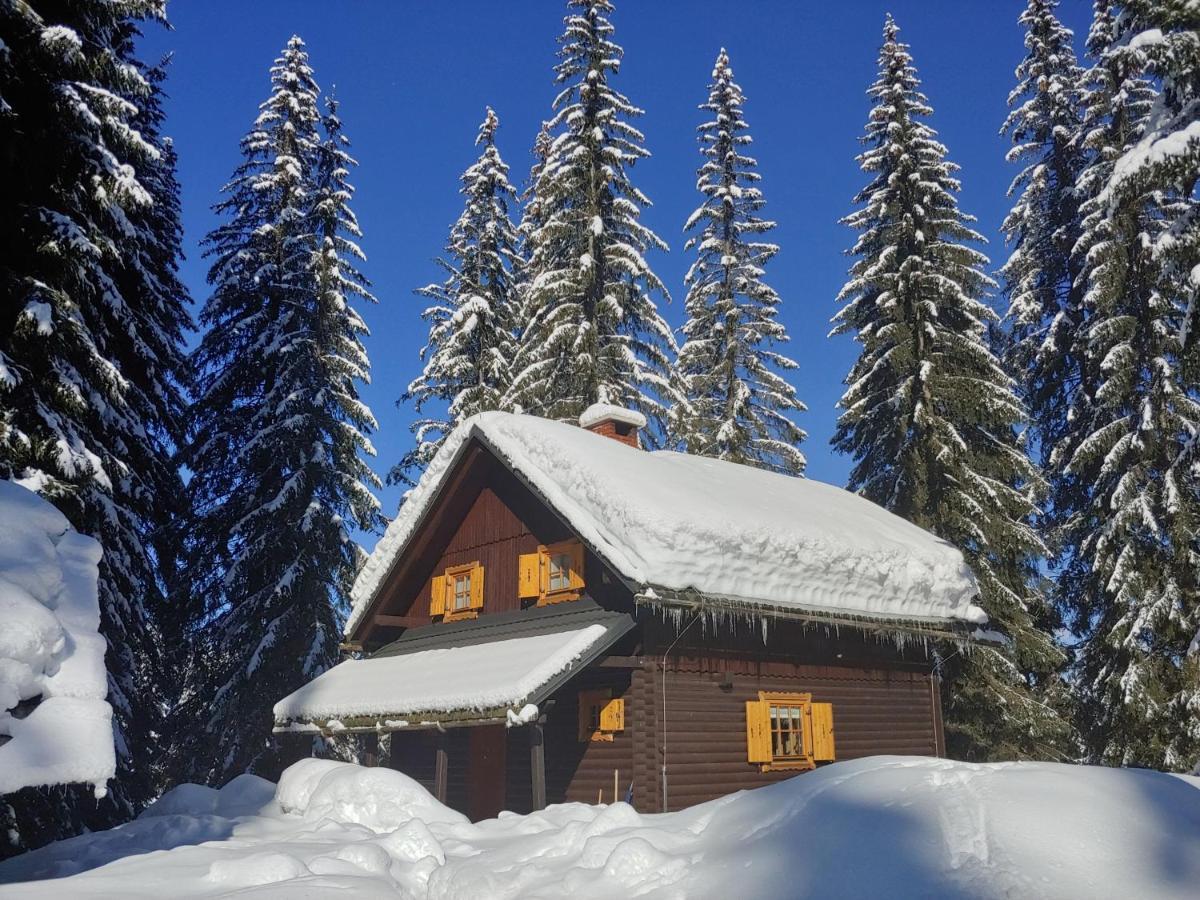 Villa Pokljuka 지고르니예 고르예 외부 사진