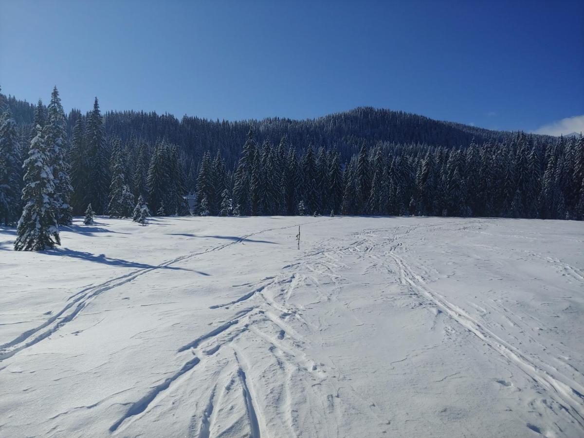 Villa Pokljuka 지고르니예 고르예 외부 사진