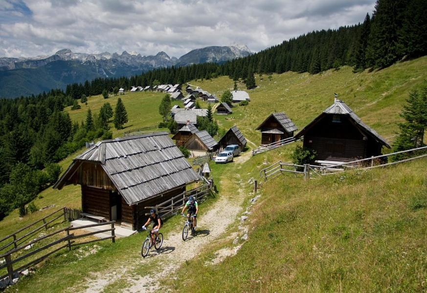 Villa Pokljuka 지고르니예 고르예 외부 사진