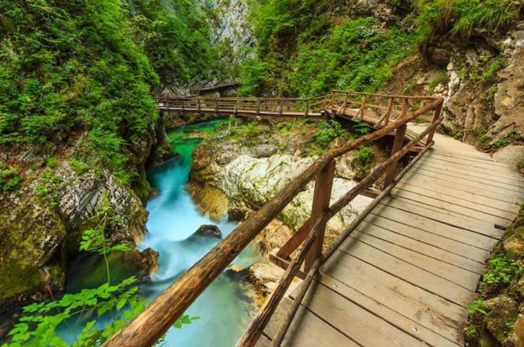 Villa Pokljuka 지고르니예 고르예 외부 사진