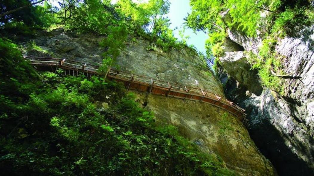 Villa Pokljuka 지고르니예 고르예 외부 사진