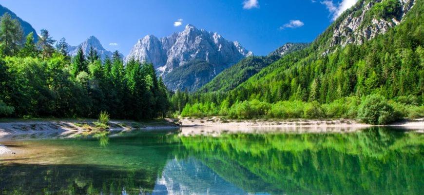 Villa Pokljuka 지고르니예 고르예 외부 사진
