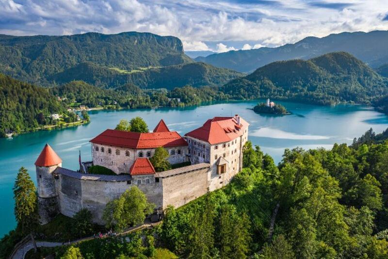 Villa Pokljuka 지고르니예 고르예 외부 사진