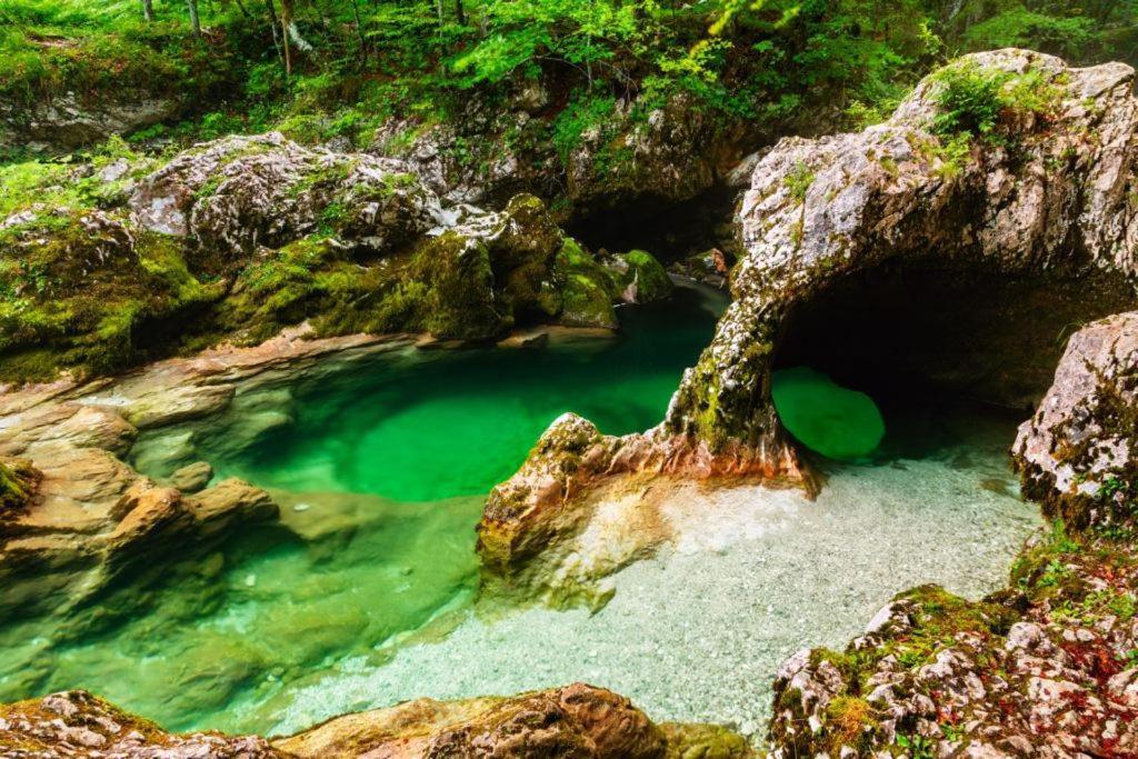 Villa Pokljuka 지고르니예 고르예 외부 사진