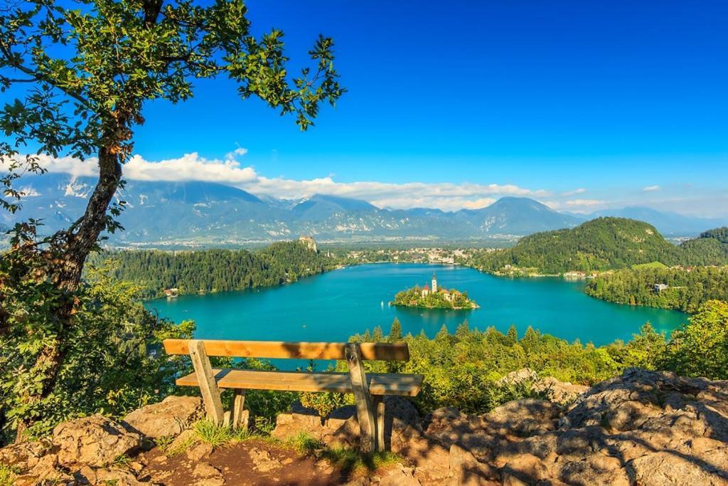 Villa Pokljuka 지고르니예 고르예 외부 사진