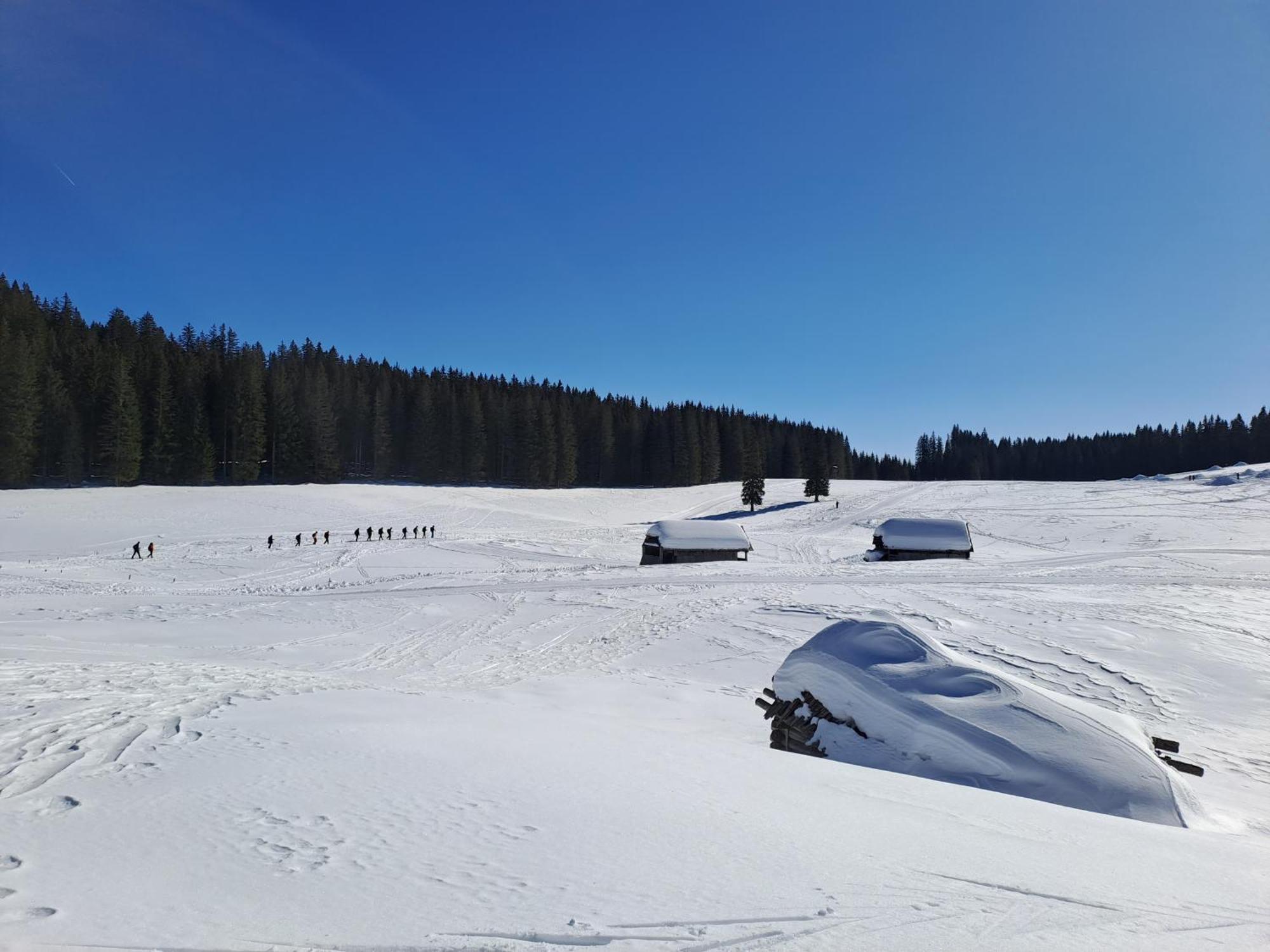 Villa Pokljuka 지고르니예 고르예 외부 사진