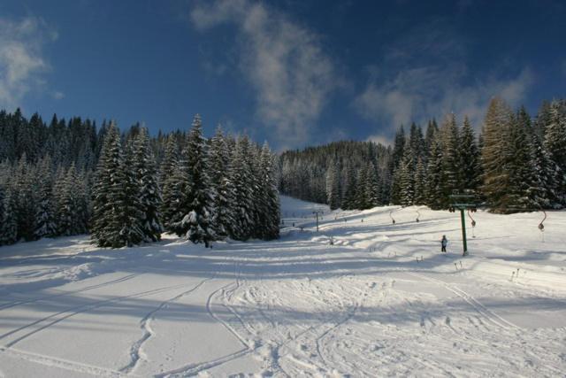 Villa Pokljuka 지고르니예 고르예 외부 사진
