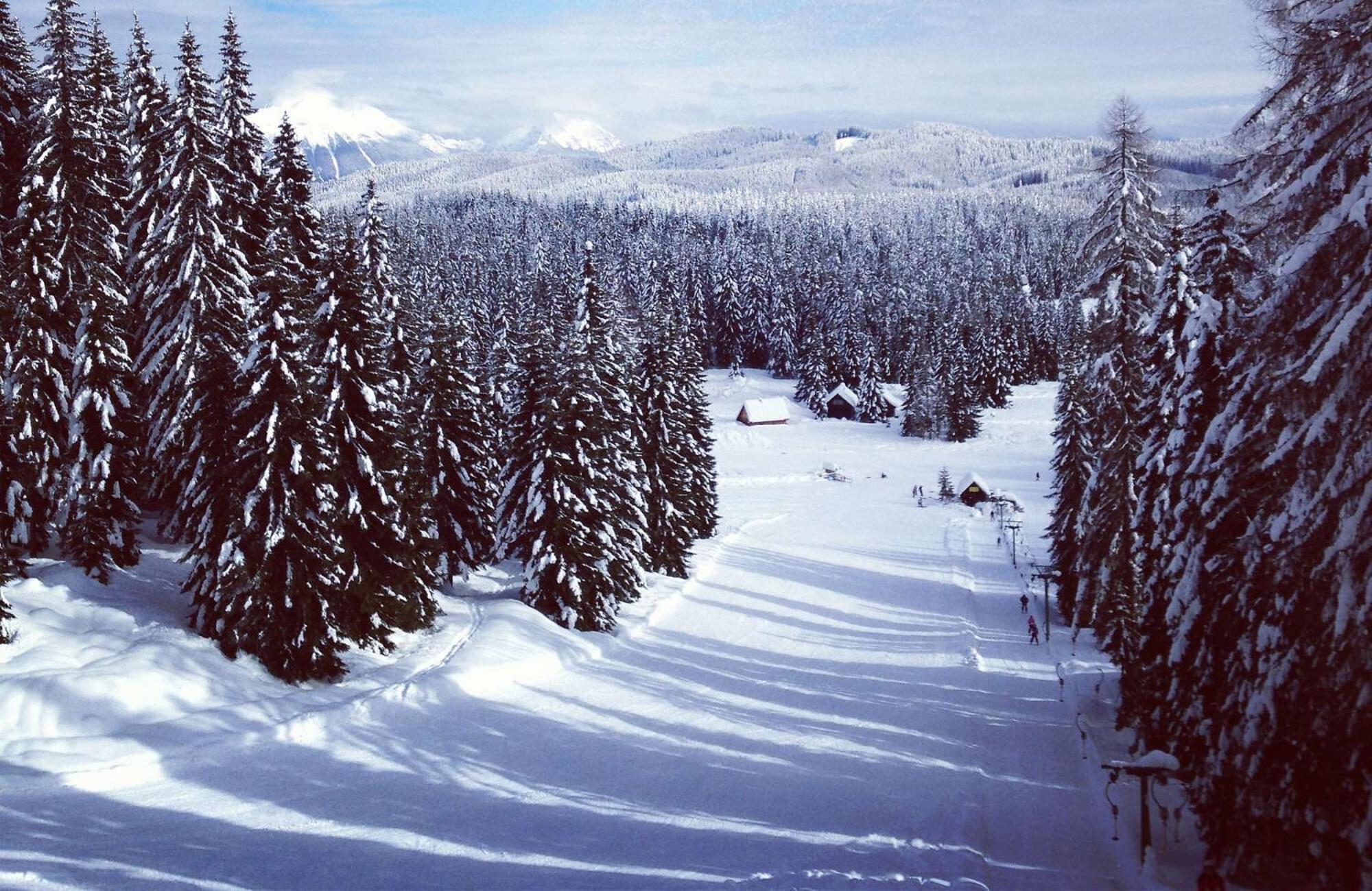 Villa Pokljuka 지고르니예 고르예 외부 사진