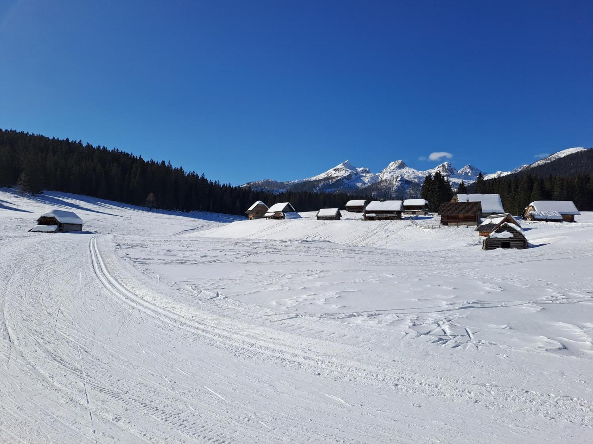 Villa Pokljuka 지고르니예 고르예 외부 사진