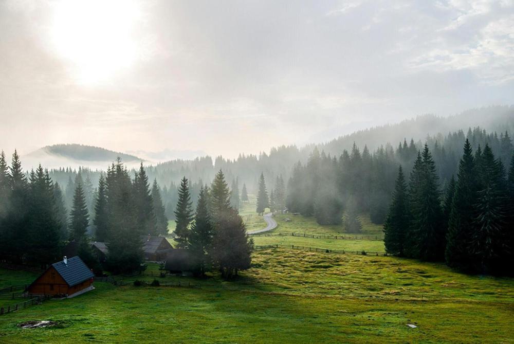Villa Pokljuka 지고르니예 고르예 외부 사진