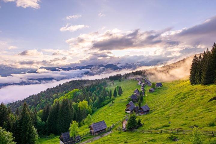 Villa Pokljuka 지고르니예 고르예 외부 사진