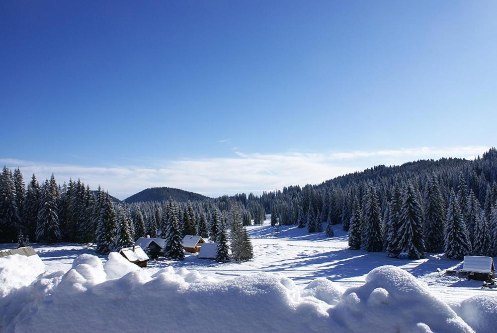 Villa Pokljuka 지고르니예 고르예 외부 사진
