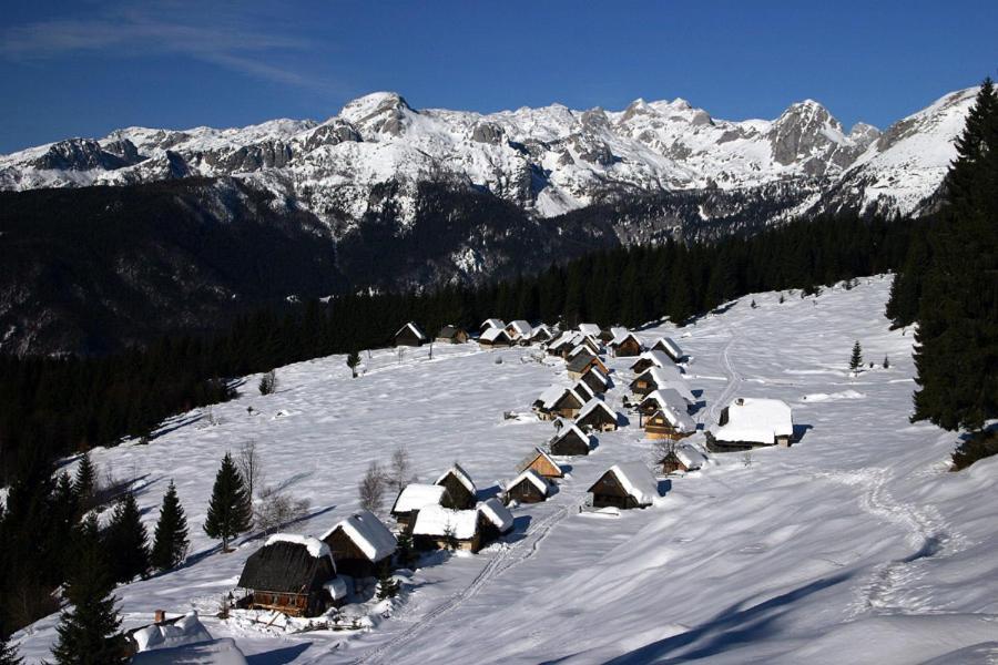 Villa Pokljuka 지고르니예 고르예 외부 사진