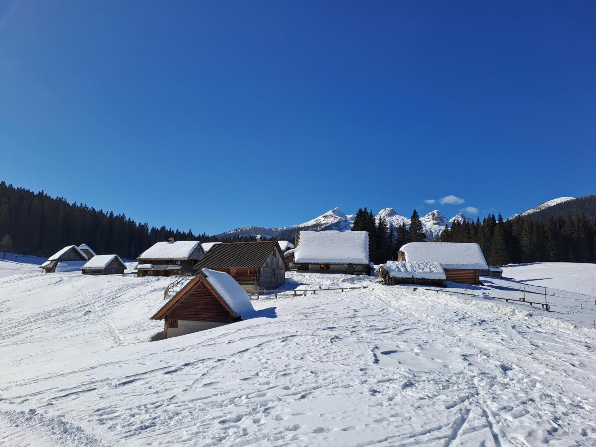 Villa Pokljuka 지고르니예 고르예 외부 사진